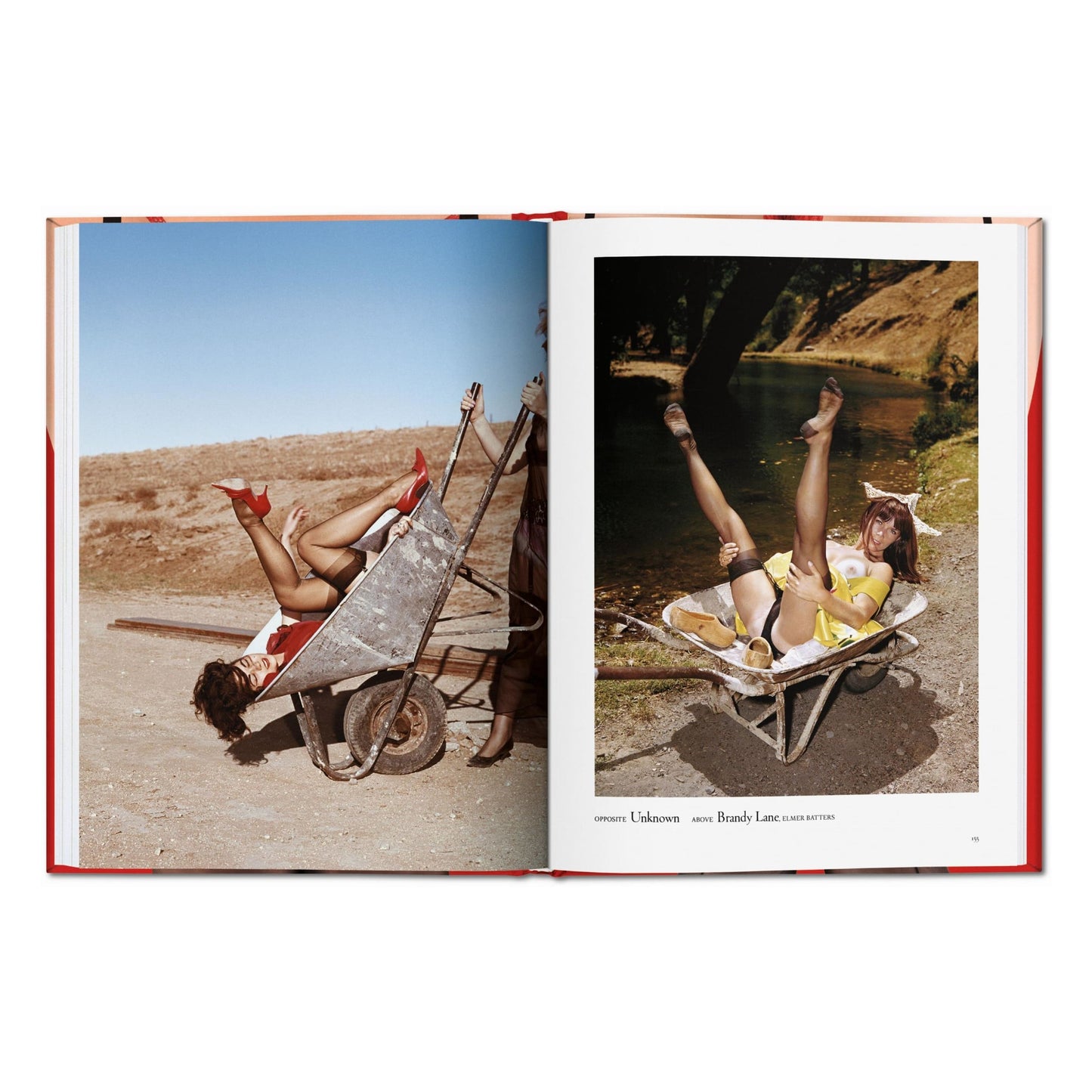 The Little Big Book of Legs (German, French, English) Book