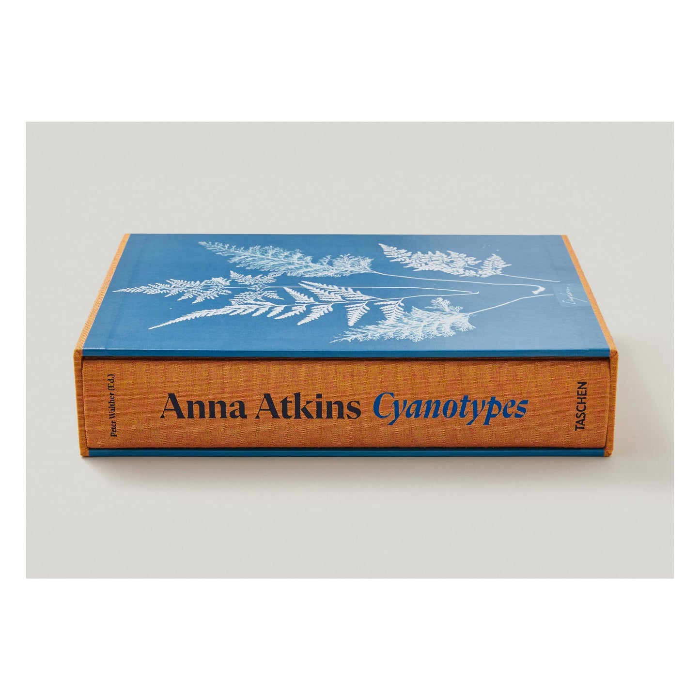Anna Atkins. Cyanotypes (German, French, English) (FFE) Book