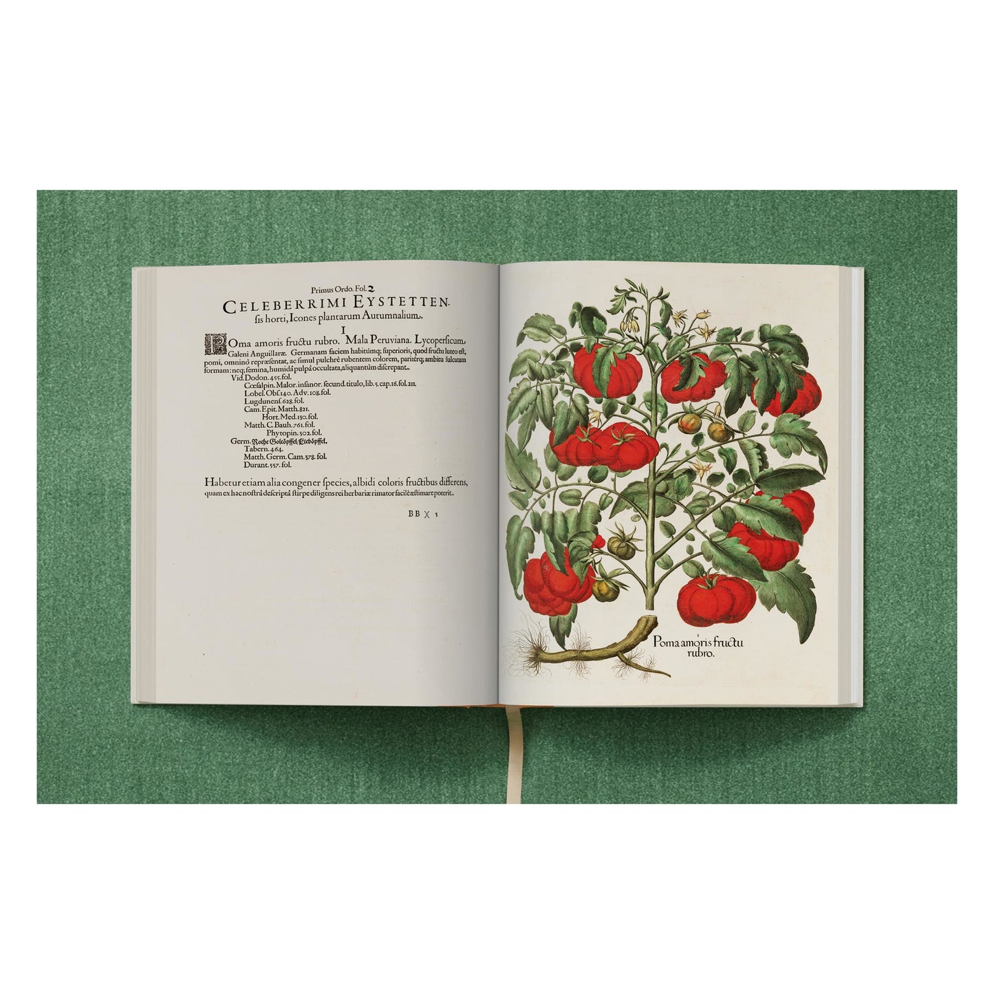 Basilius Besler. The Garden at Eichstätt (German, French, English) (FFE) Book