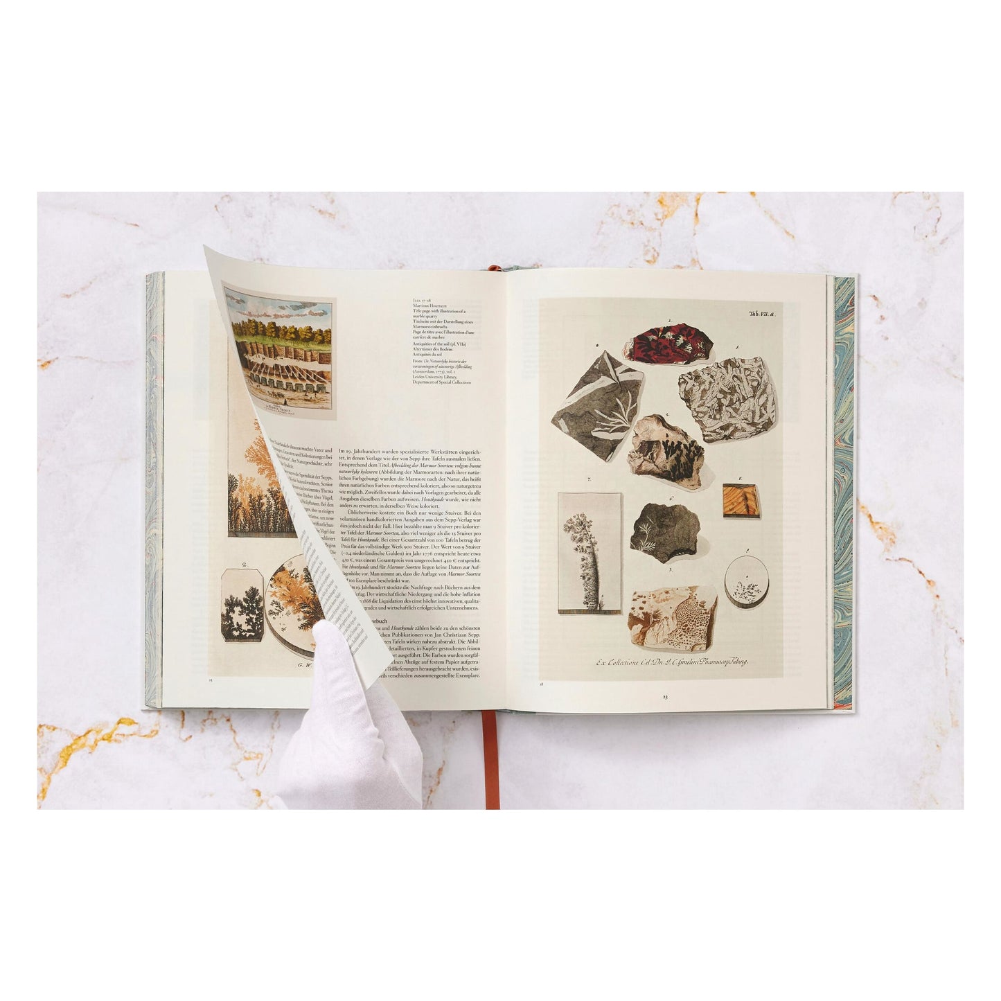 Jan Christiaan Sepp. The Book of Marble (German, French, English) (FFE) Book