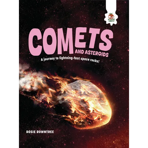 Comets and Asteroids