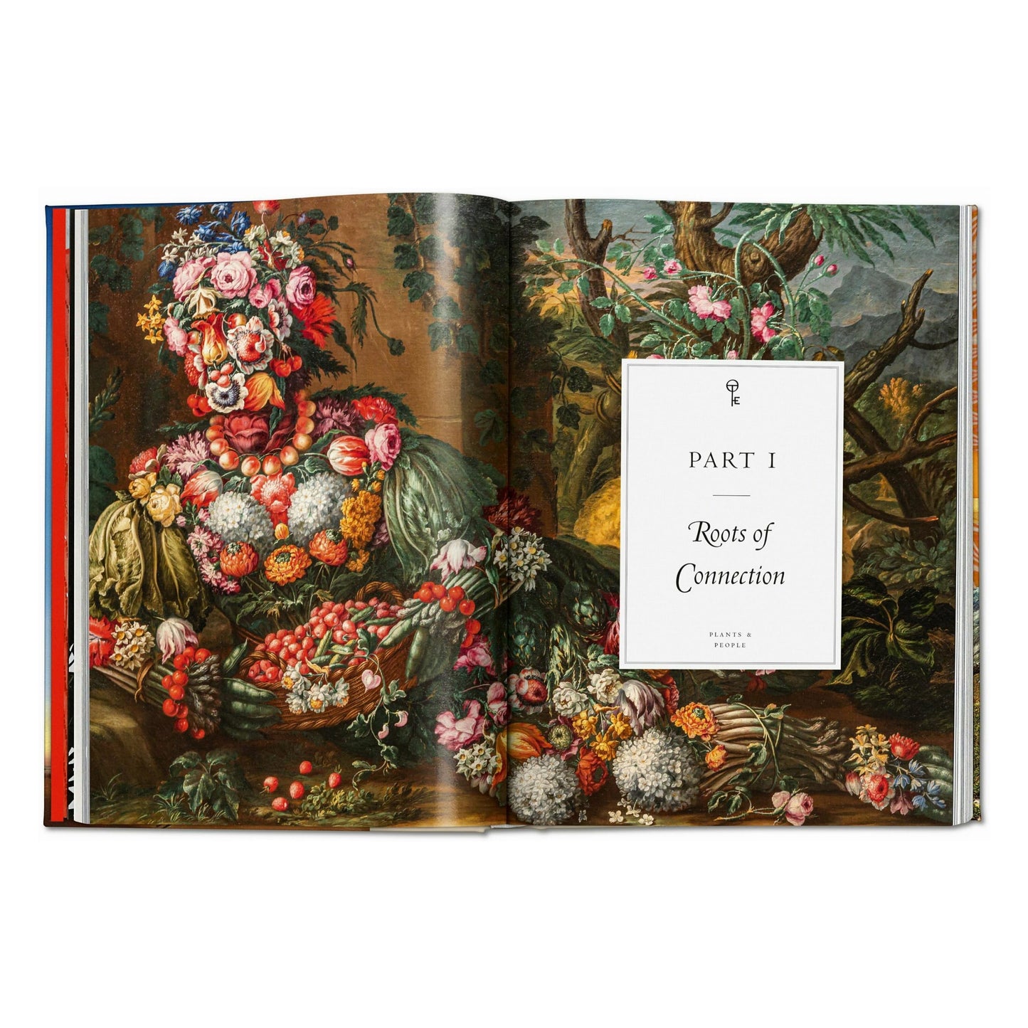 Plant Magick. The Library of Esoterica (English) Book