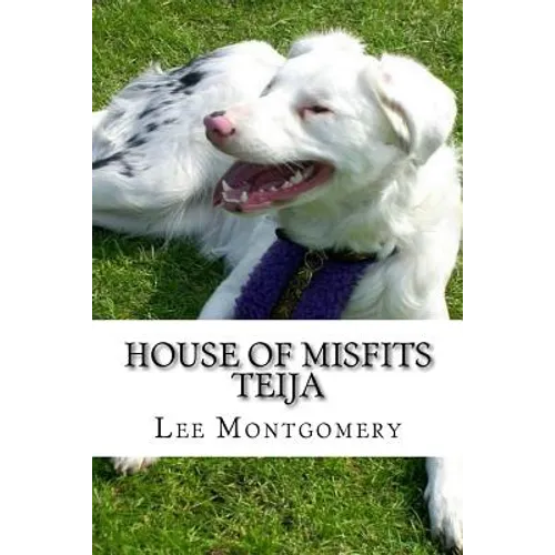 House of Misfits - Teija: Border Collie born deaf and blind
