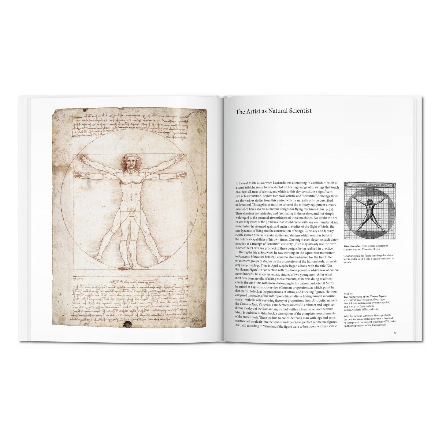 Leonardo (English) Book