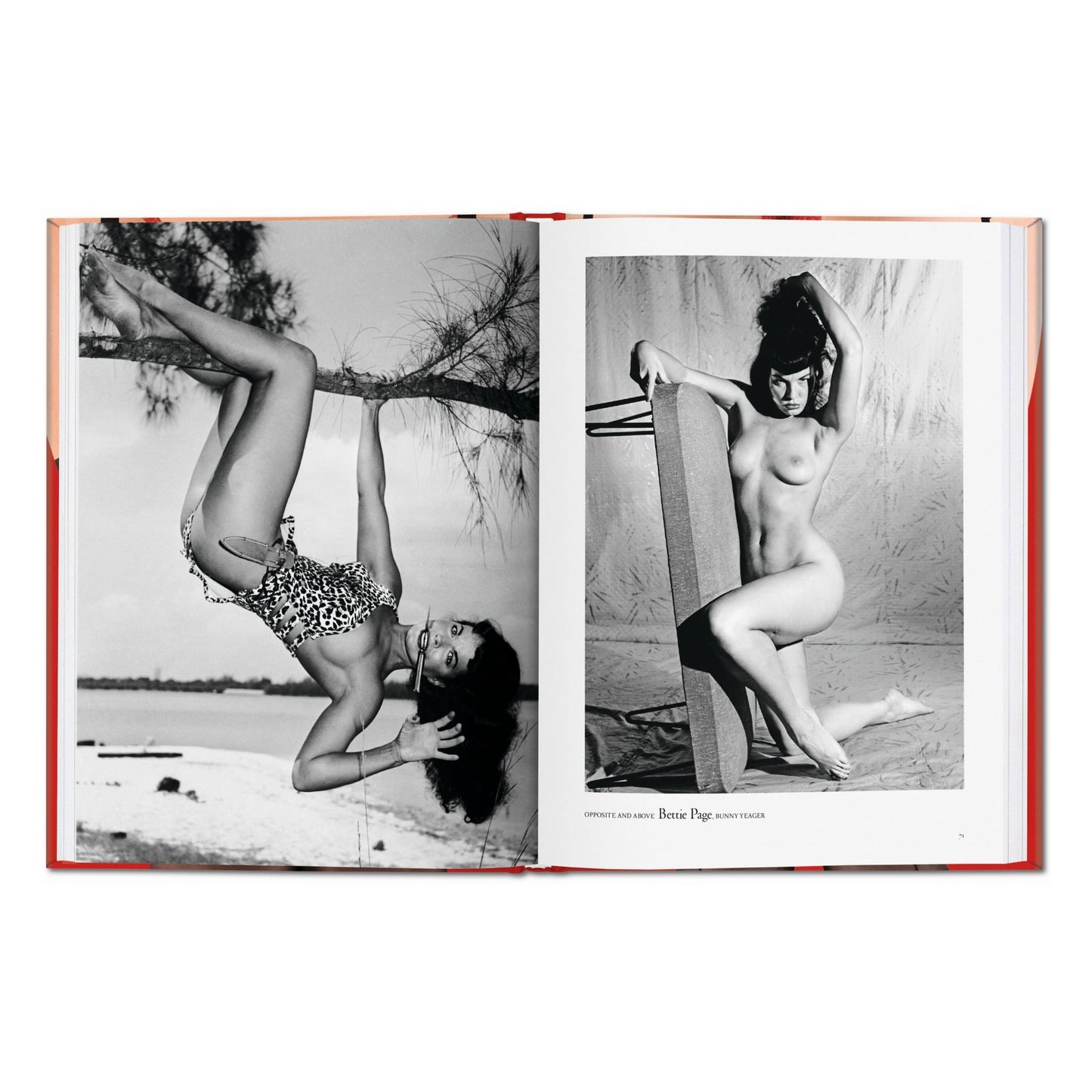 The Little Big Book of Legs (German, French, English) Book
