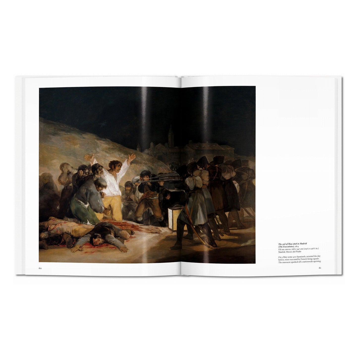 Goya (English) Book