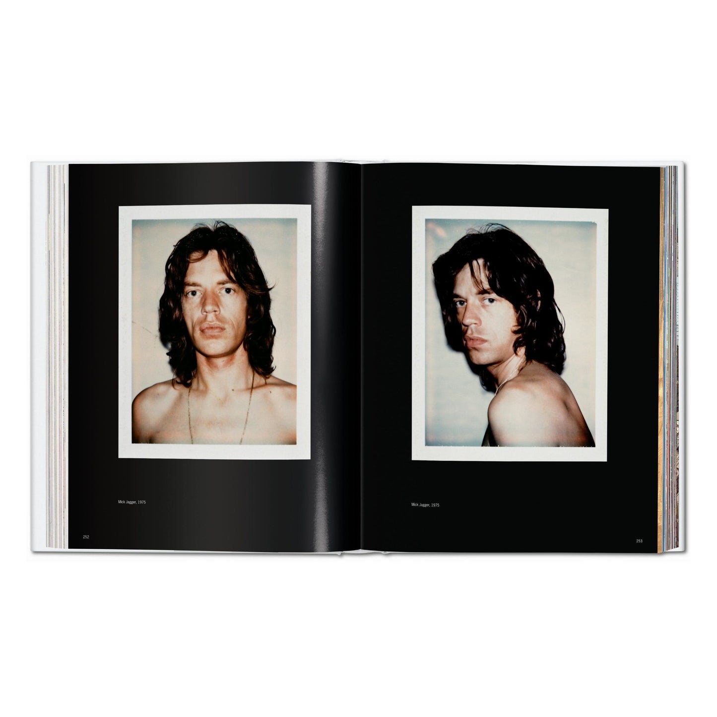 Andy Warhol. Polaroids 1958-1987 (German, French, English) Book