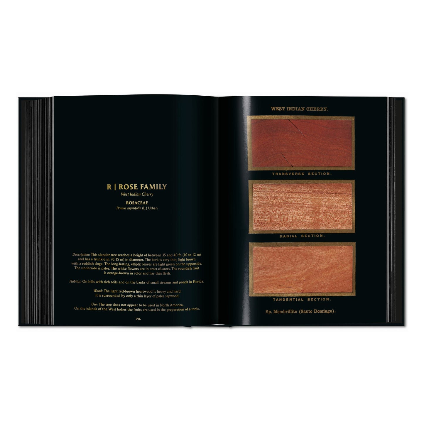 Romeyn B. Hough. The Woodbook. The Complete Plates (English) Book