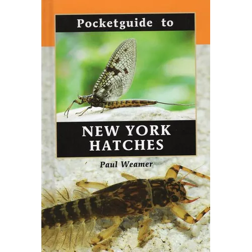 Pocketguide to New York Hatches