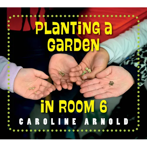 Planting a Garden in Room 6: From Seeds to Salad