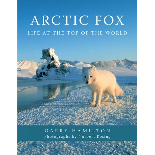 Arctic Fox: Life at the Top of the World