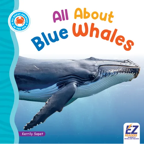 All about Blue Whales
