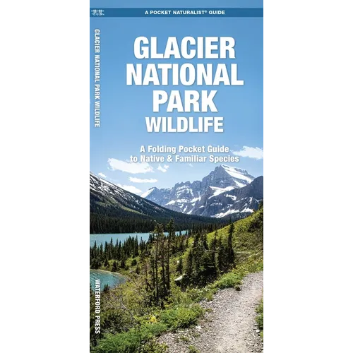 Glacier National Park Wildlife: A Folding Pocket Guide to Native & Familiar Species