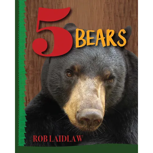 5 Bears: Volume 3