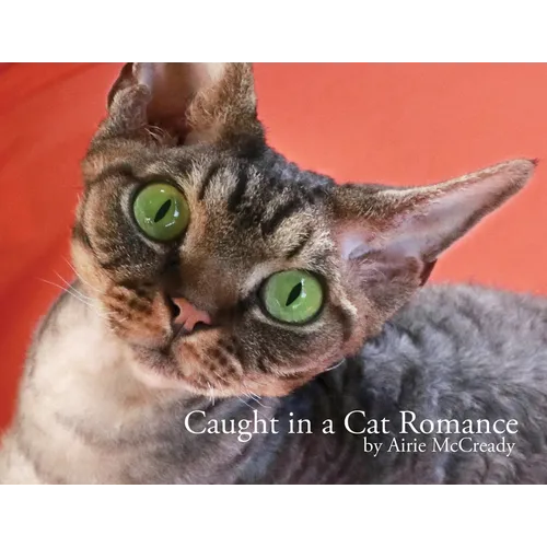 Caught in a Cat Romance