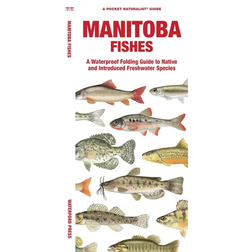 Manitoba Fishes