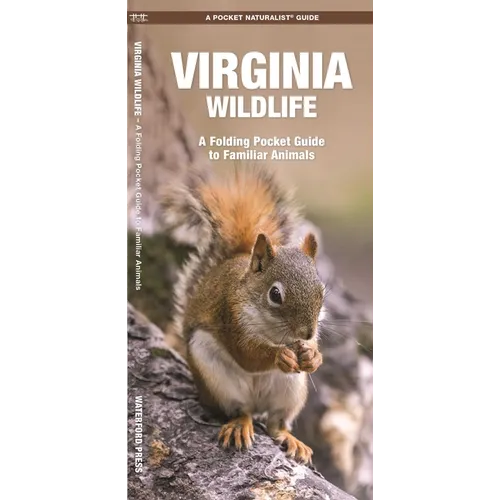 Virginia Wildlife