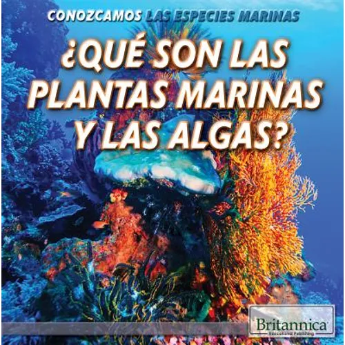 What Are Sea Plants and Algae?