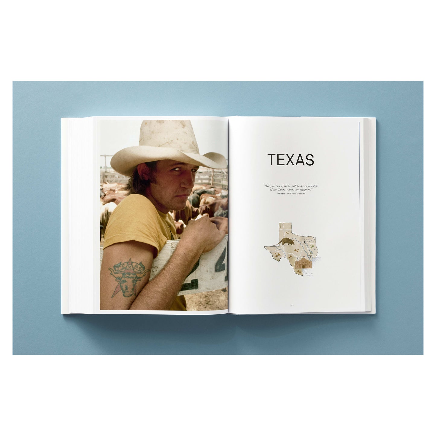 National Geographic. The United States of America (English) Book