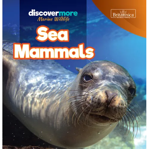 Sea Mammals