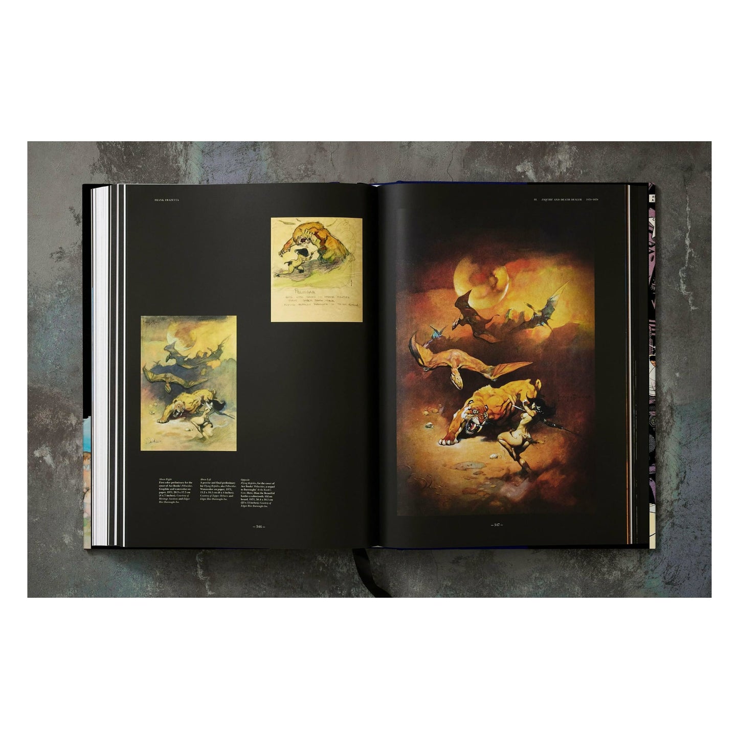 The Fantastic Worlds of Frank Frazetta (German, French, English) Book