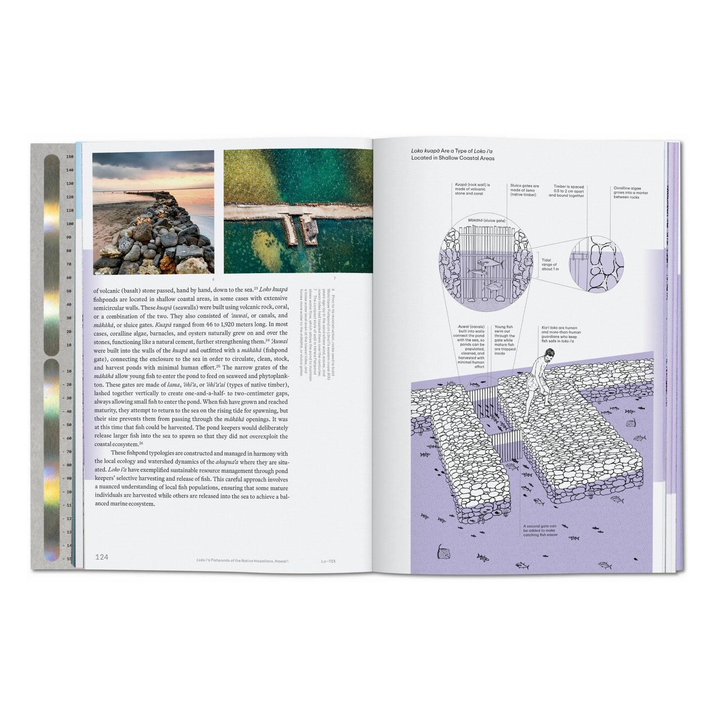 Julia Watson. Lo—TEK. Water. A Field Guide for TEKnology (English) Book