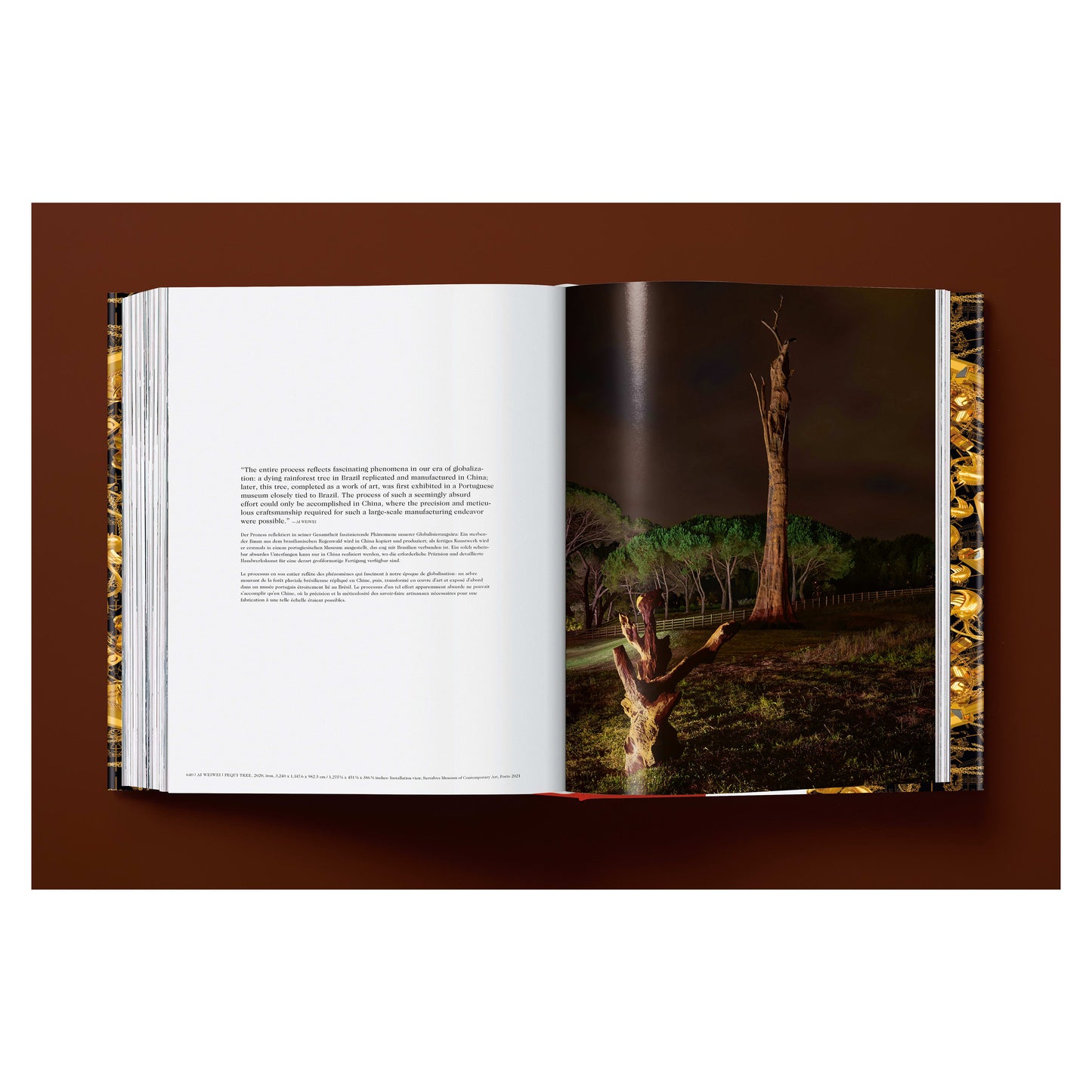 Ai Weiwei. Updated Edition (German, French, English) Book