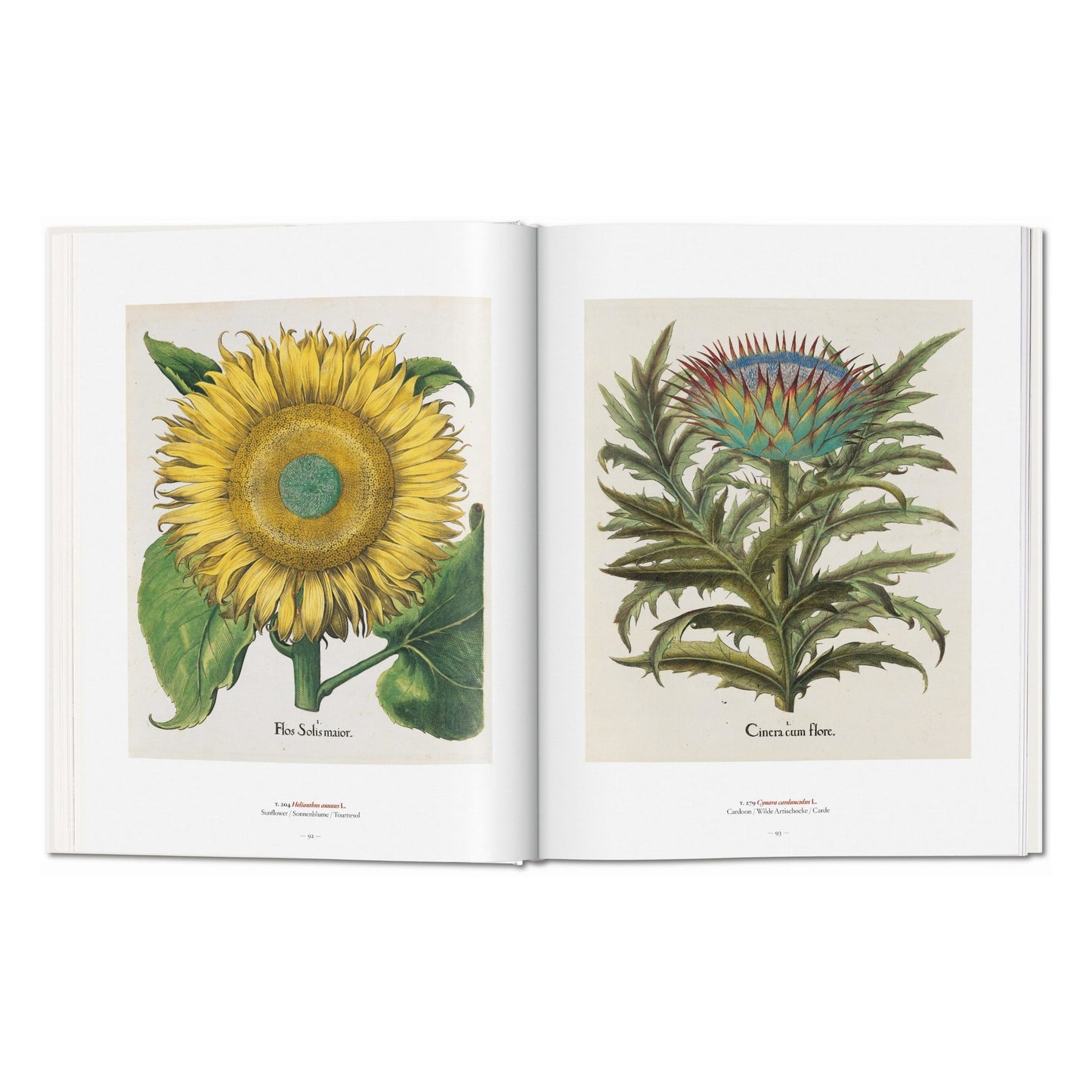 A Garden Eden. Masterpieces of Botanical Illustration (German, French, English) Book