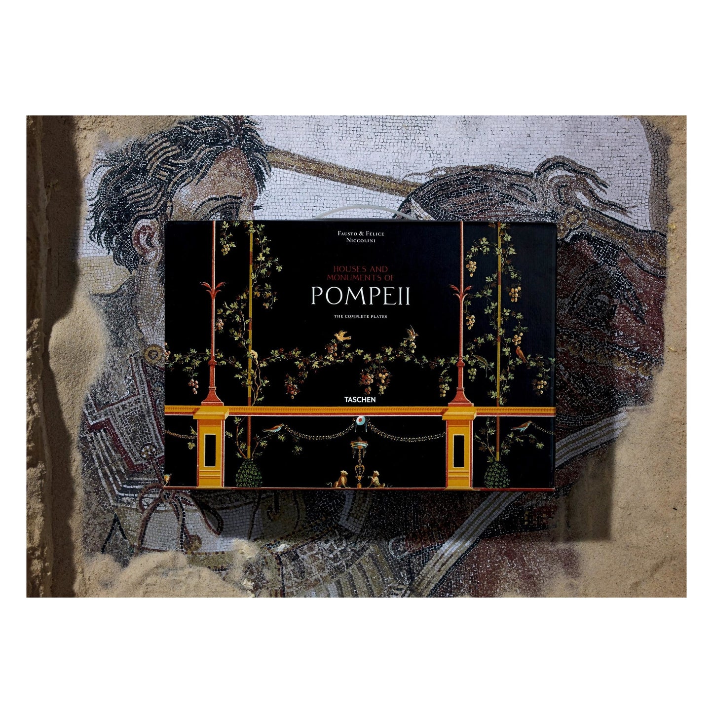 Fausto & Felice Niccolini. Houses and Monuments of Pompeii (German, French, English) Book