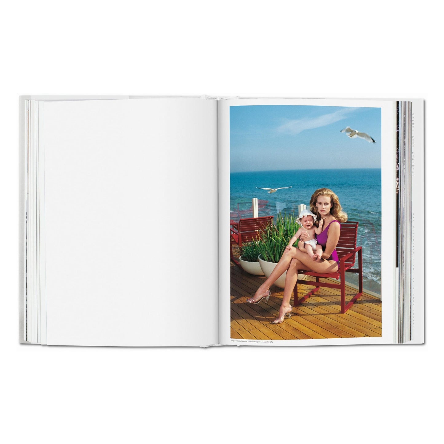 Helmut Newton. SUMO (German, French, English) Book