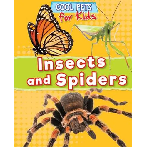 Insects and Spiders