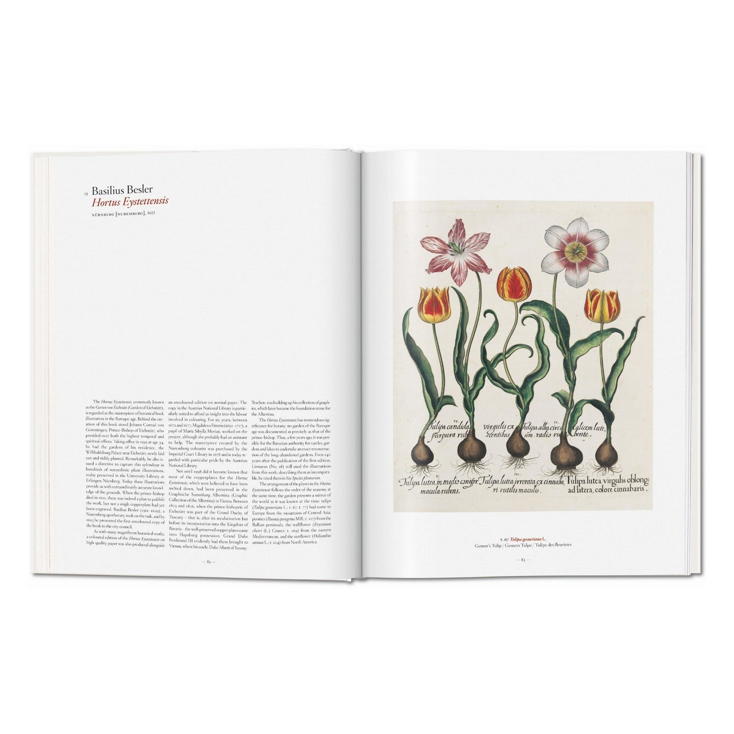 A Garden Eden. Masterpieces of Botanical Illustration (German, French, English) Book