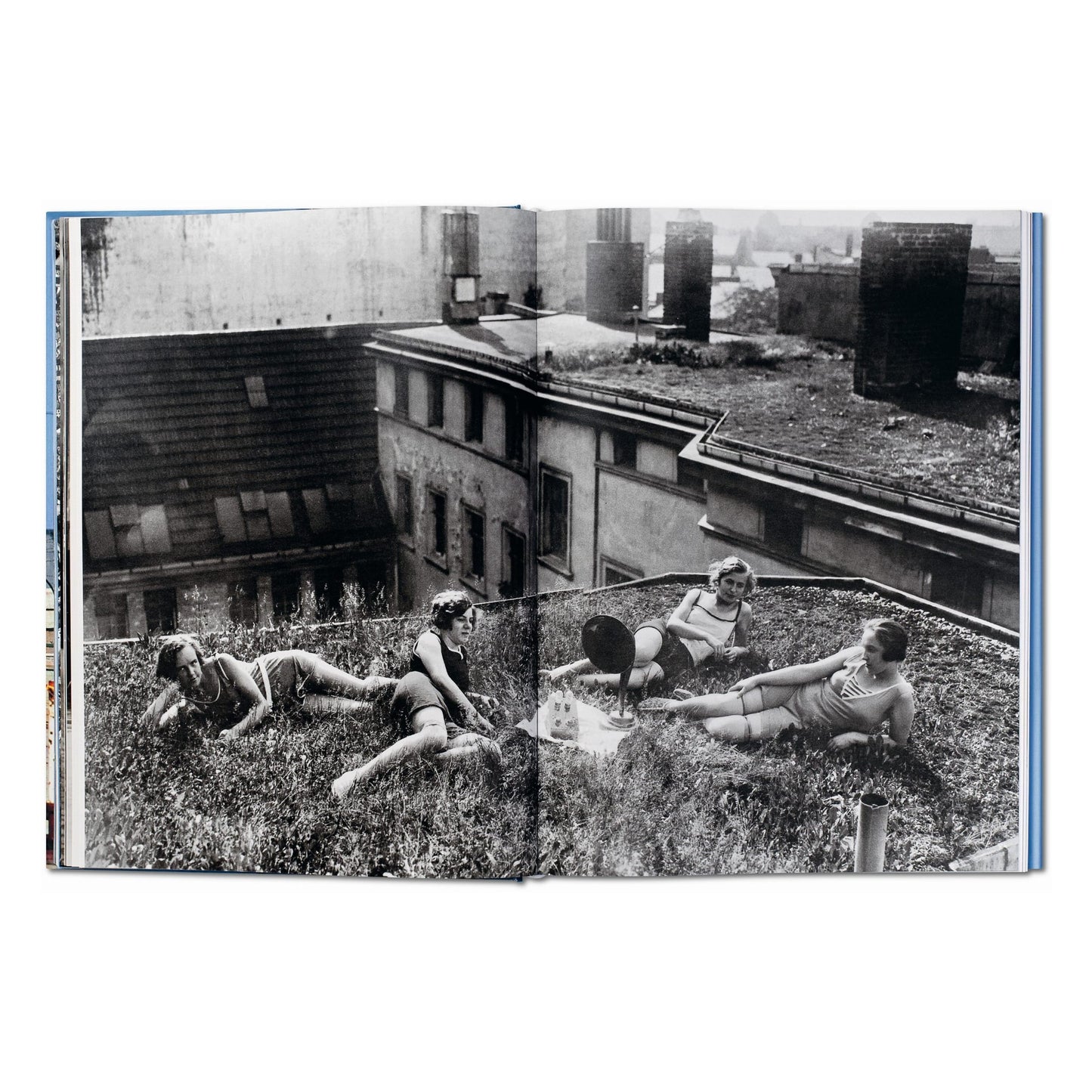 Berlin. Portrait of a City (German, French, English) Book