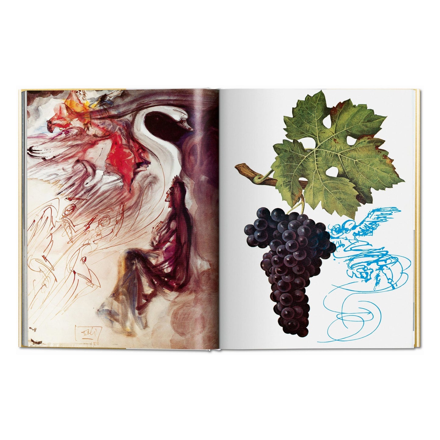 Dalí. The Wines of Gala (English) Book