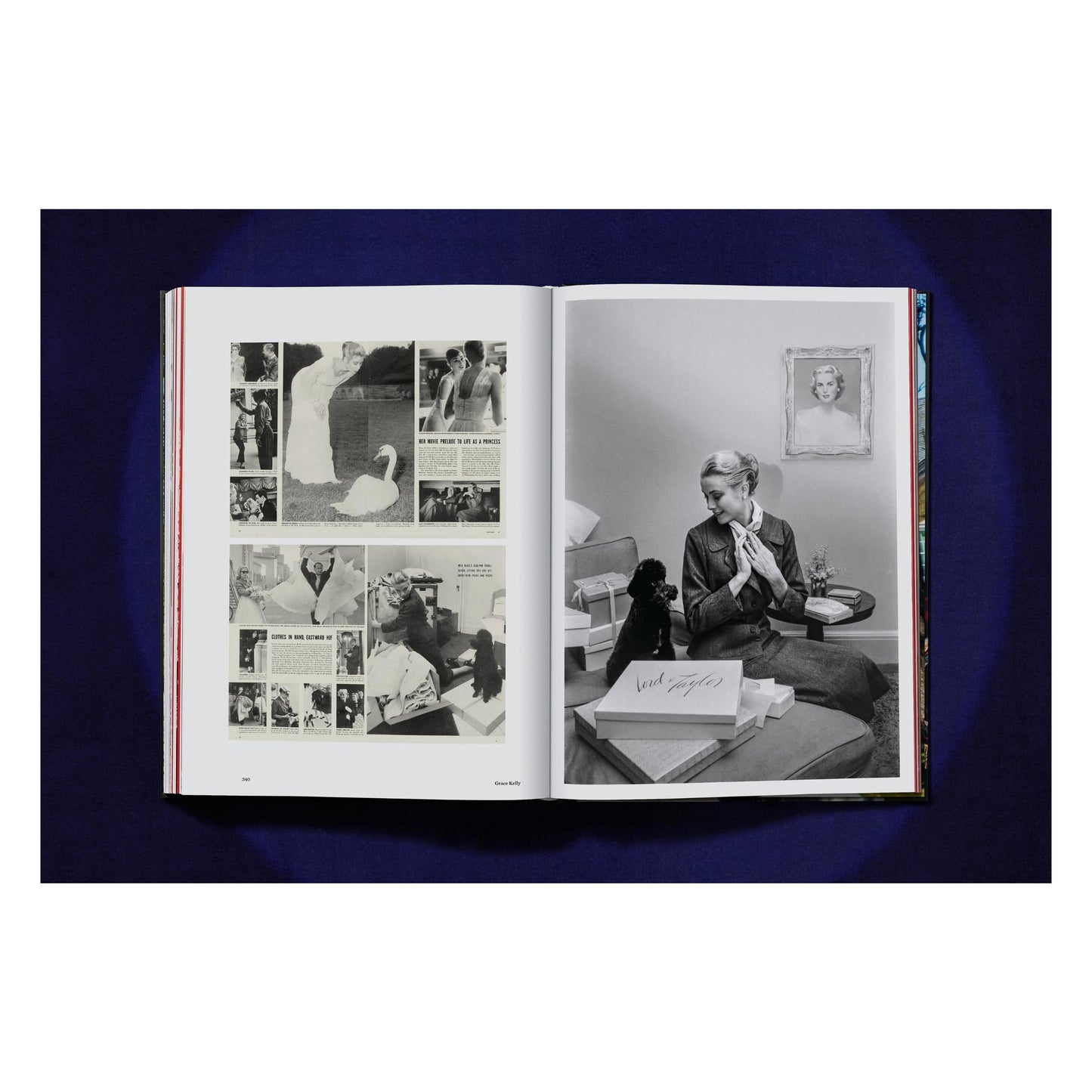 LIFE. Hollywood (English) Book
