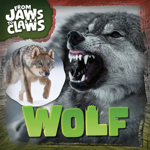 Wolf