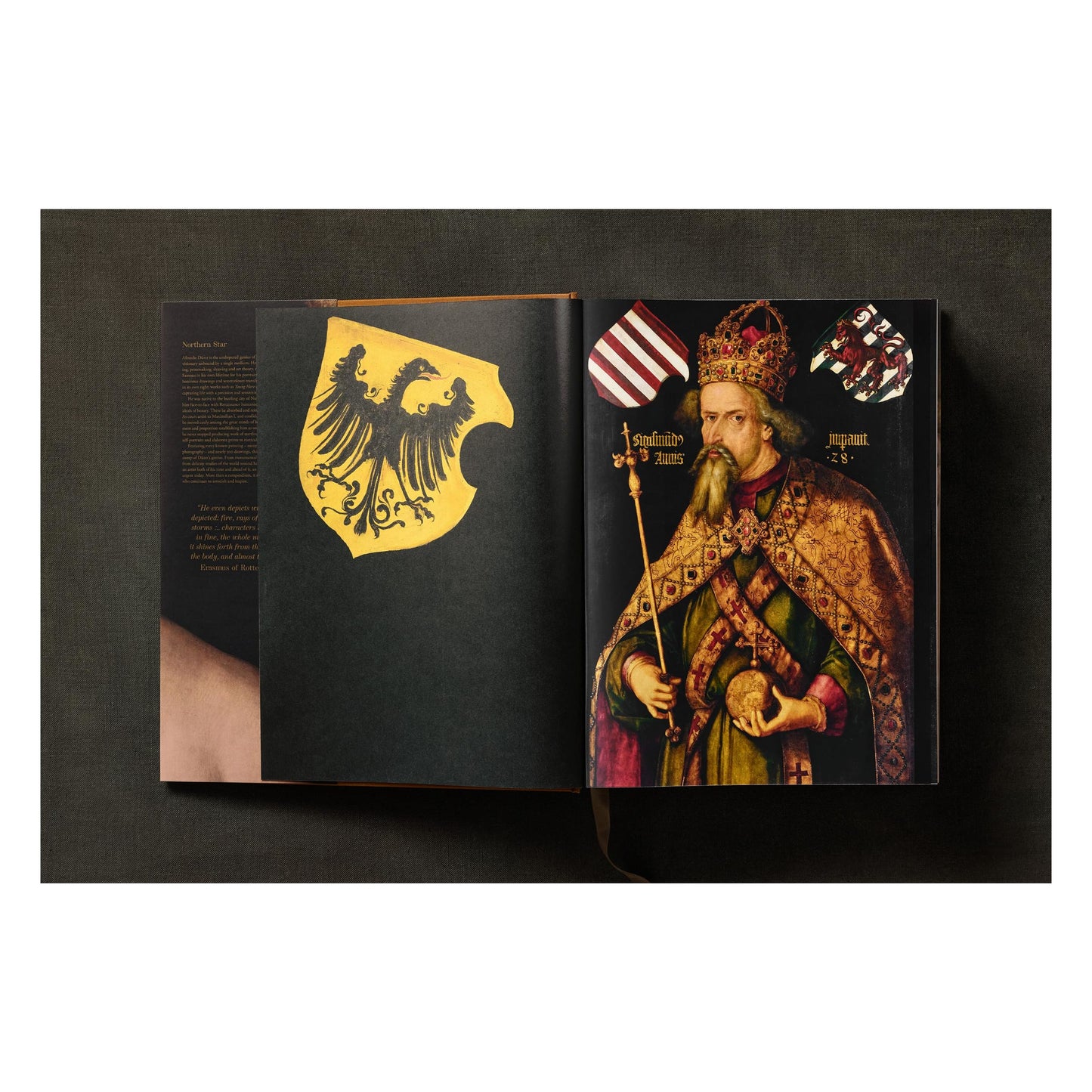 Albrecht Dürer. The Complete Paintings. Selected Drawings and Prints (English) Book