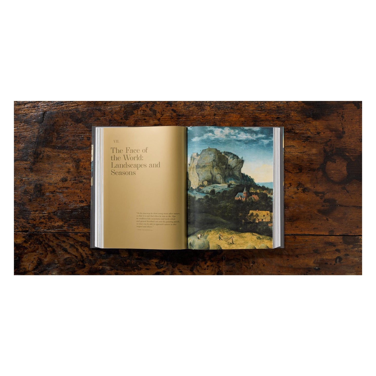 Bruegel. The Complete Works (English) Book