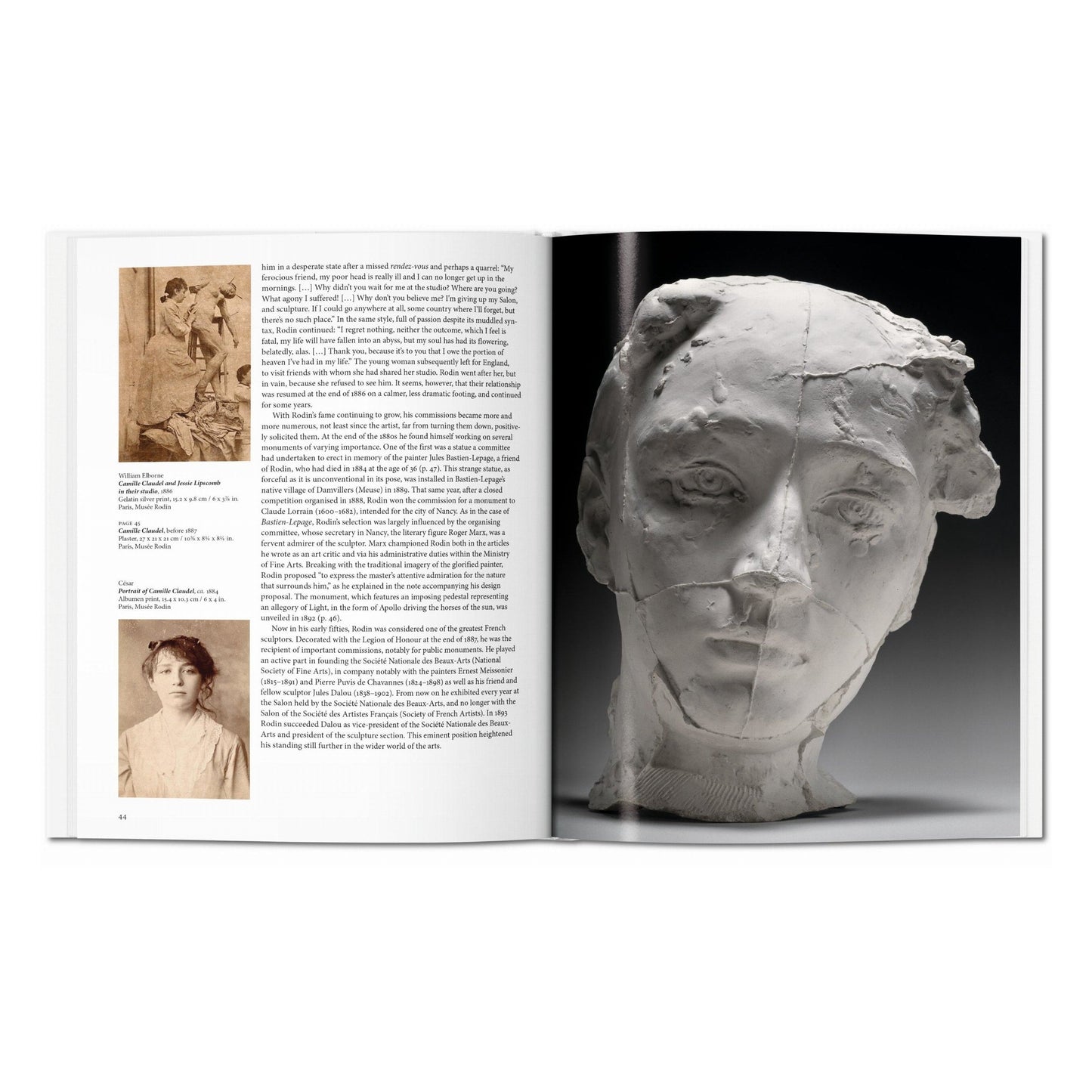 Rodin (English) Book