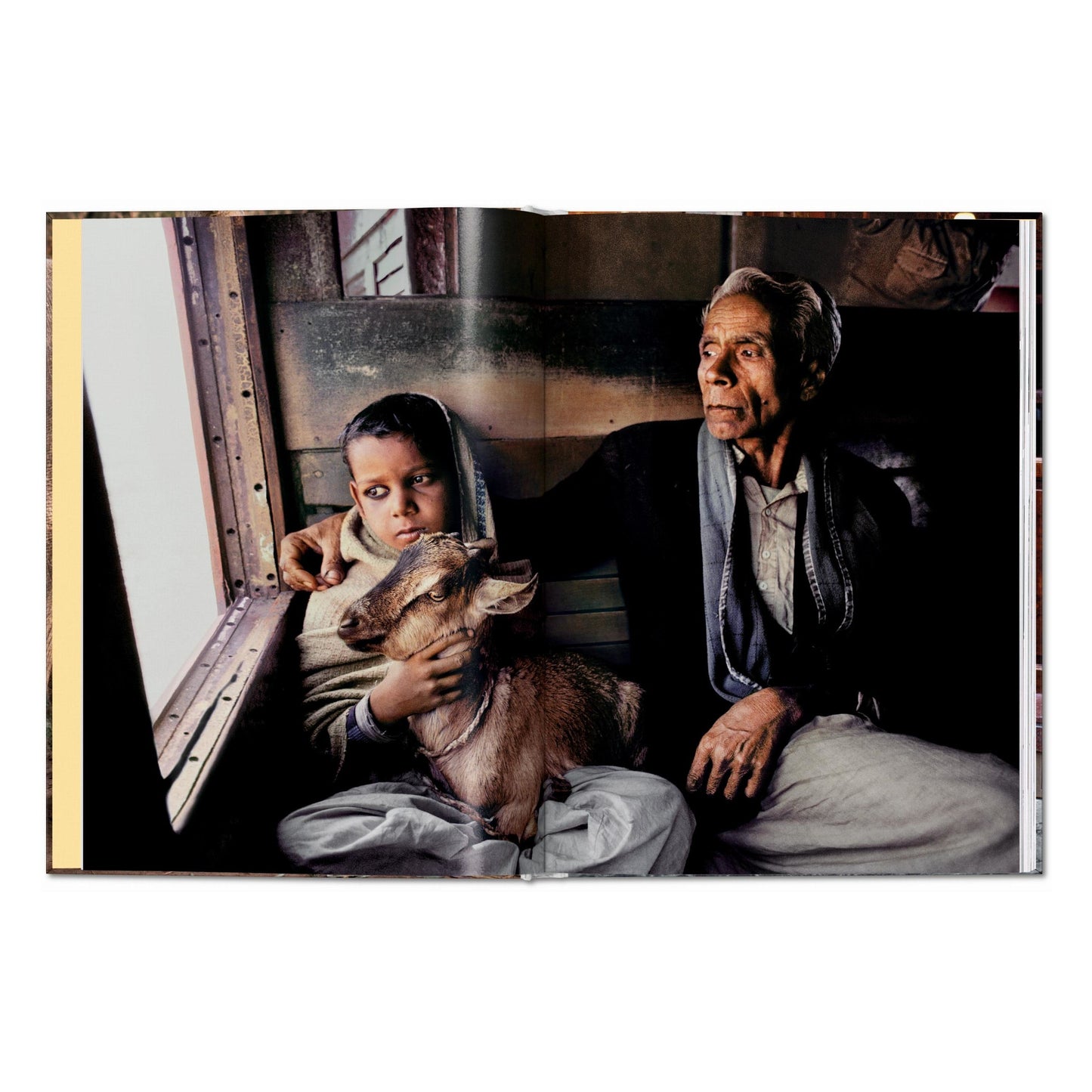 Steve McCurry. Animals (English) Book