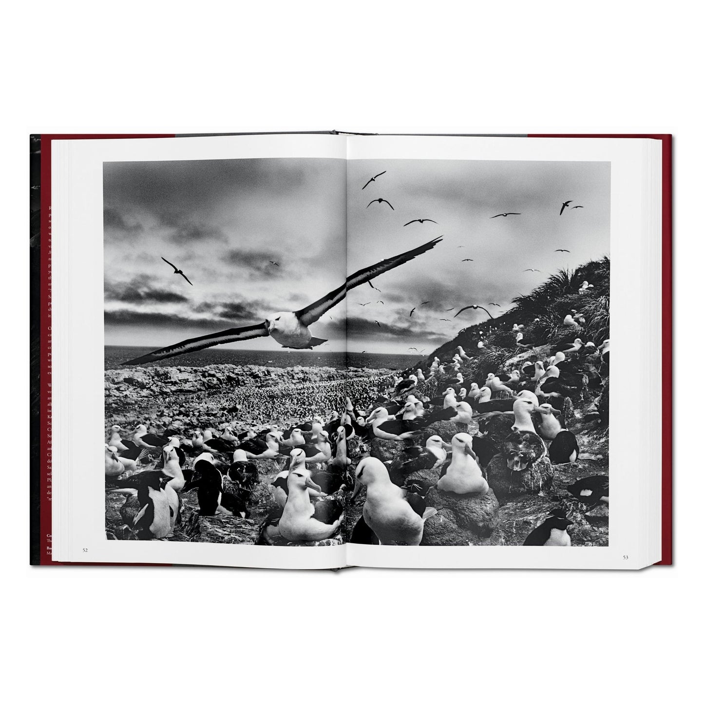 Sebastião Salgado. Genesis (English) Book