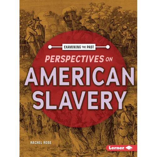Perspectives on American Slavery