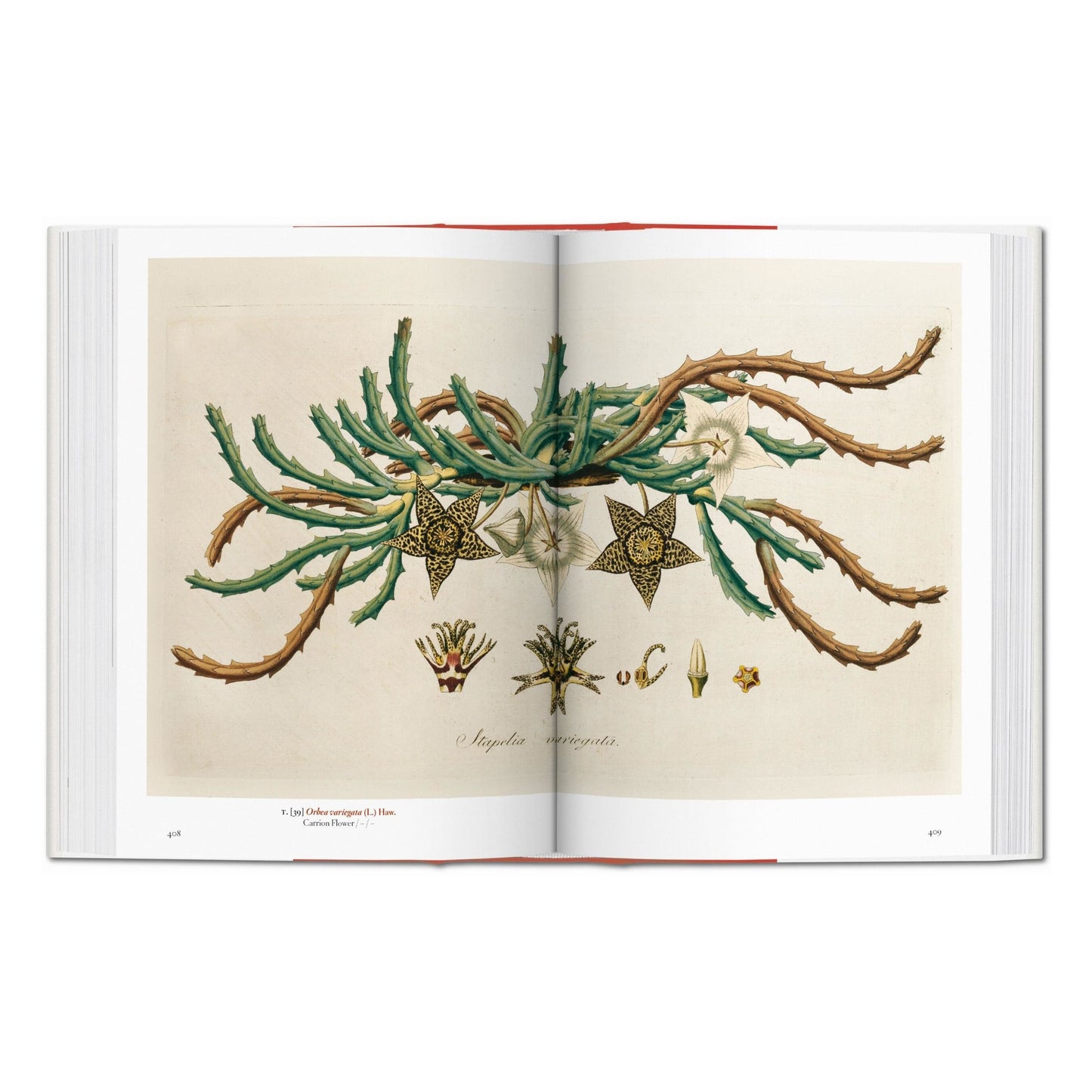 A Garden Eden. Masterpieces of Botanical Illustration. 45th Ed. (German, French, English) Book