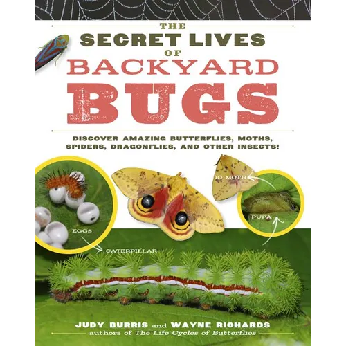 The Secret Lives of Backyard Bugs: Discover Amazing Butterflies, Moths, Spiders, Dragonflies, and Other Insects!