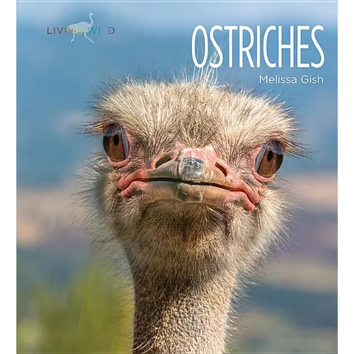 Ostriches