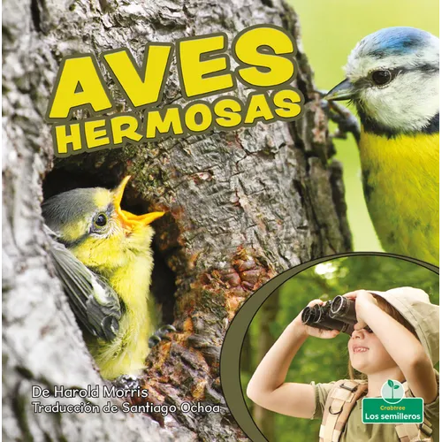 Aves Hermosas (Beautiful Birds)