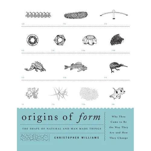 Origins of Form: The Shape of Natural and Man-made Things-Why They Came to Be the Way They Are and How They Change