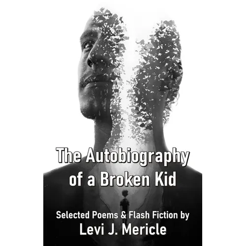 The Autobiography of a Broken Kid Selected Poems & Flash Fiction by Levi