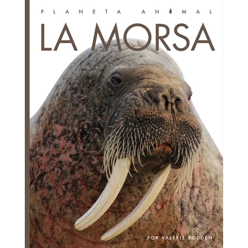 La Morsa
