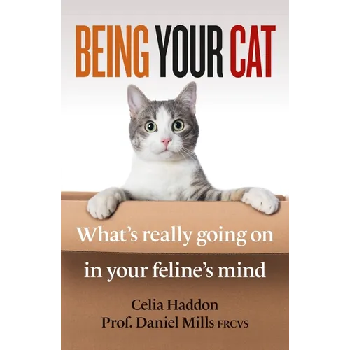 Being Your Cat: What's Really Going on in Your Feline's Mind
